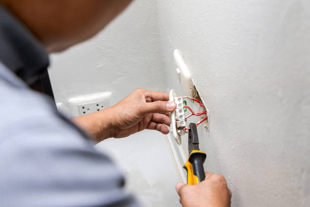 Best Electric Panel Repair  in Crisfield, MD